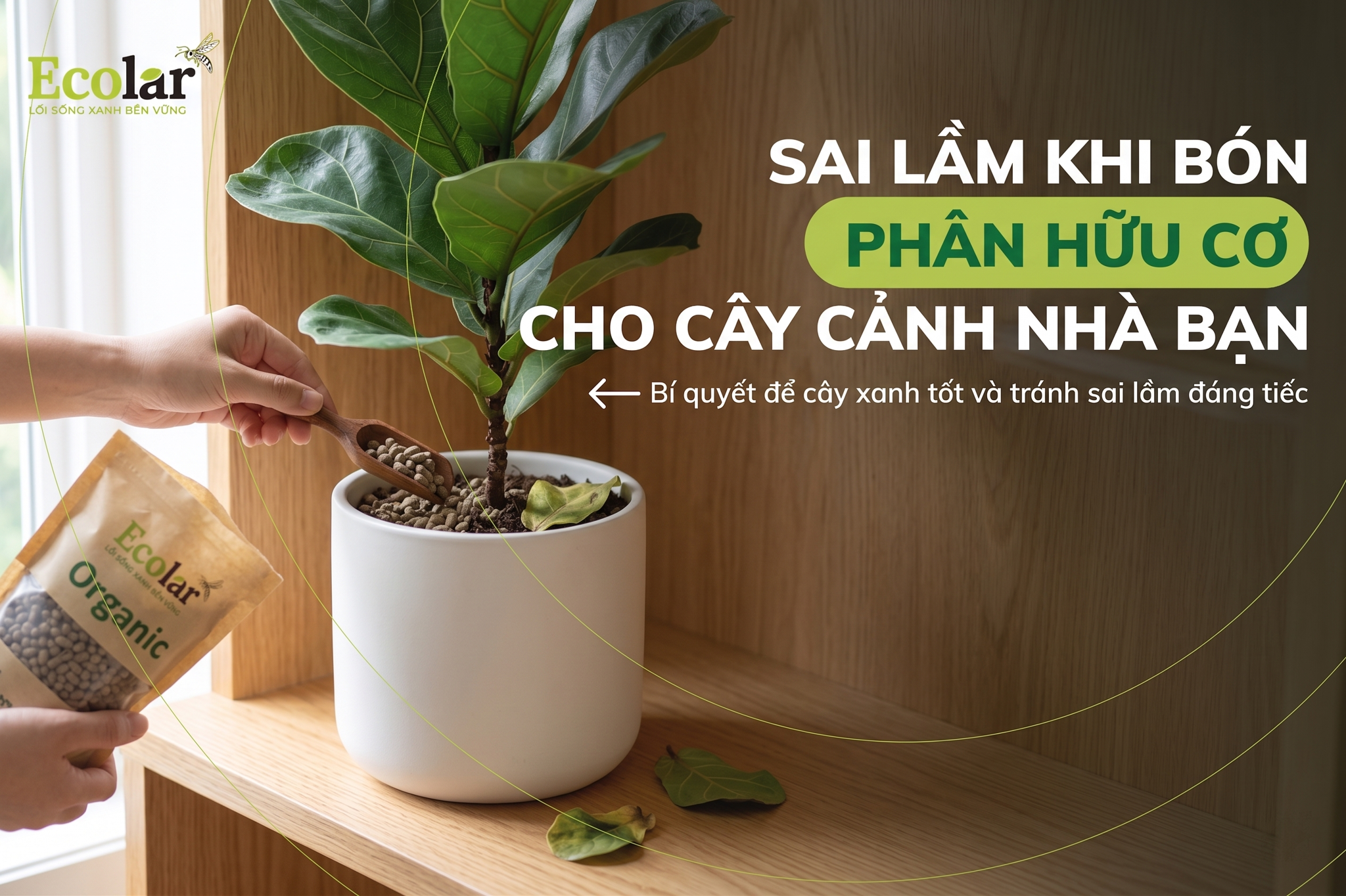 7 Sai Lầm Khi Bón Phân Hữu Cơ Cho Cây Cảnh Và Cách Khắc Phục