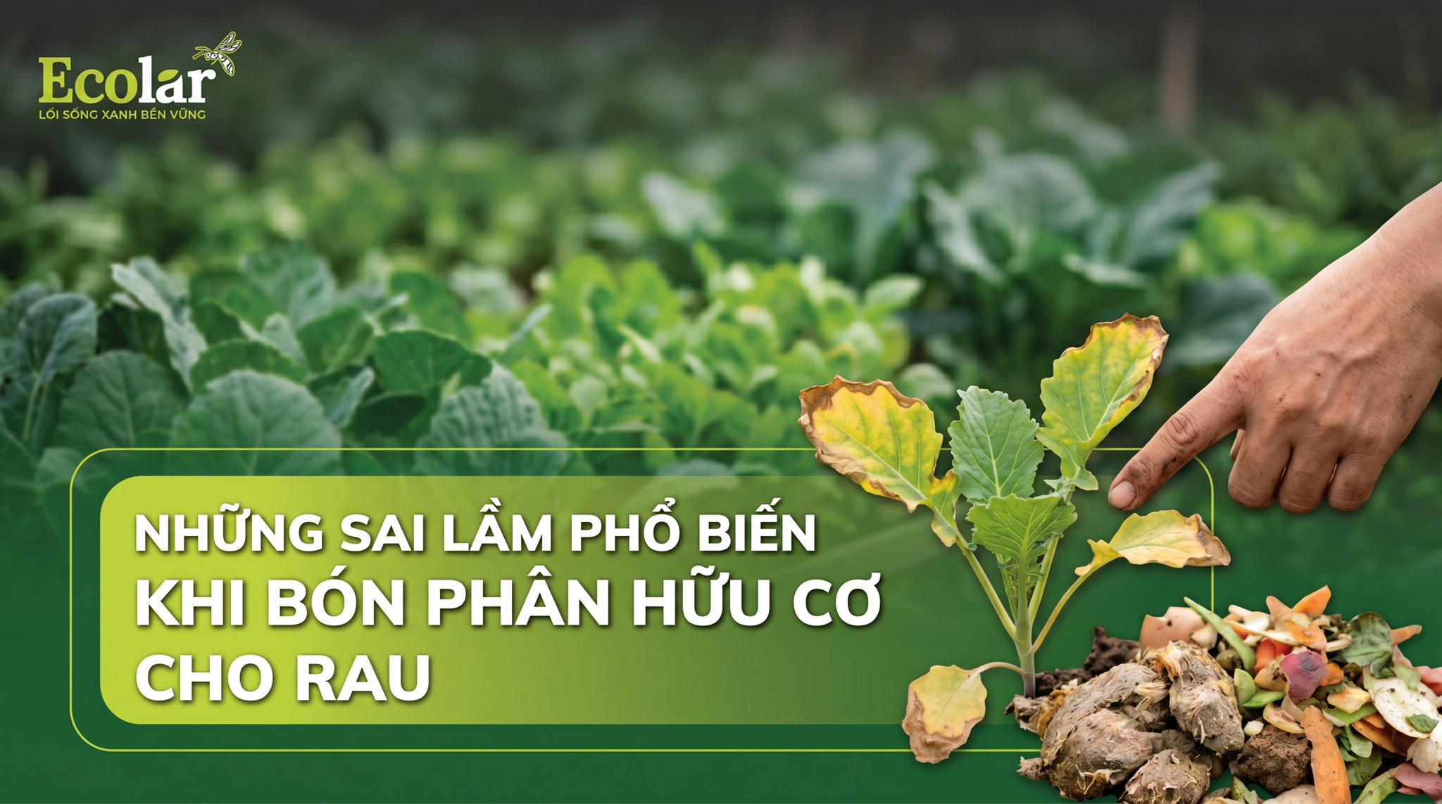 7 Sai Lầm Khi Bón Phân Hữu Cơ Cho Rau Và Cách Khắc Phục