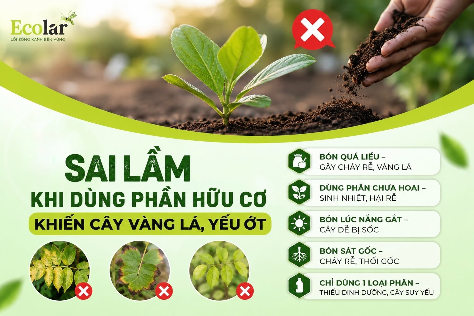 7 Sai Lầm Khi Dùng Phân Hữu Cơ Khiến Cây Chậm Lớn, Vàng Lá