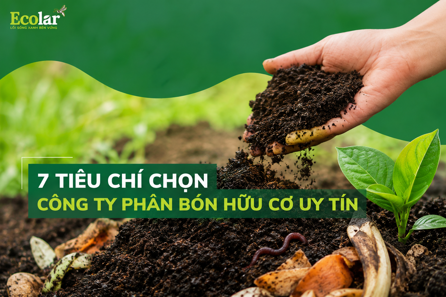 7 Tiêu Chí Chọn Công Ty Phân Bón Hữu Cơ Uy Tín