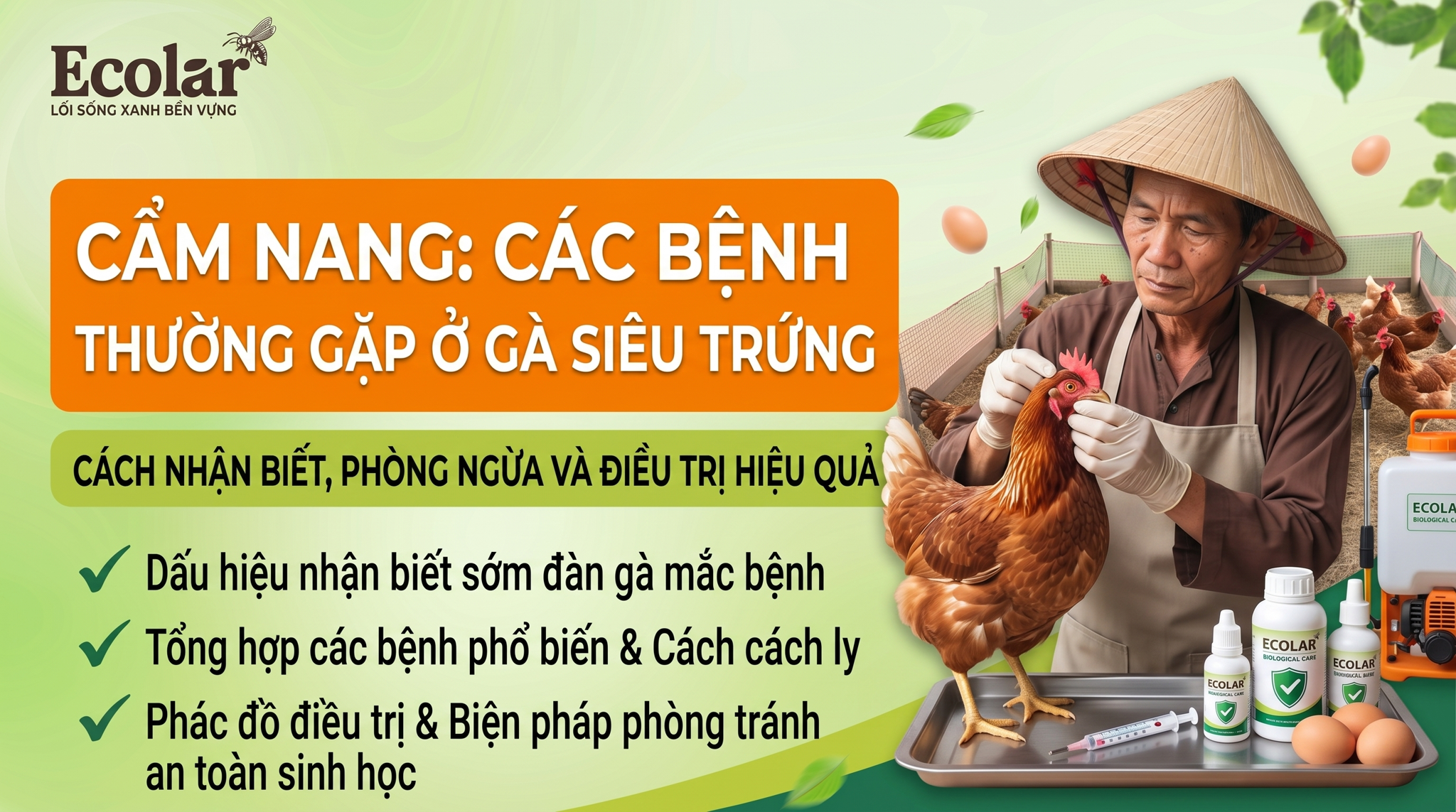 8 Bệnh Thường Gặp Ở Gà Siêu Trứng Và Cách Nhận Biết Sớm