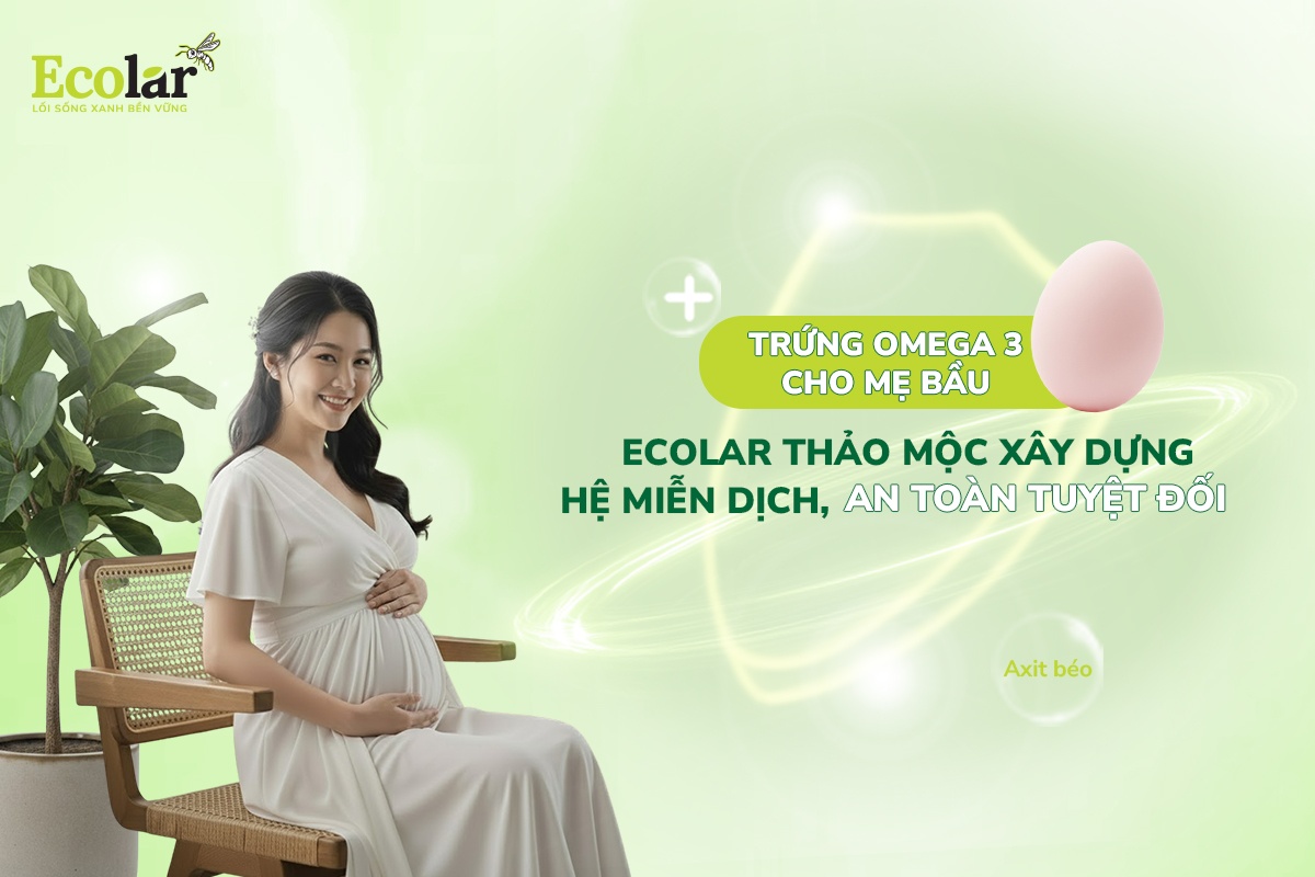 Trứng Omega 3 Cho Mẹ Bầu: Ecolar Thảo Mộc Xây Dựng Hệ Miễn Dịch, An Toàn Tuyệt Đối