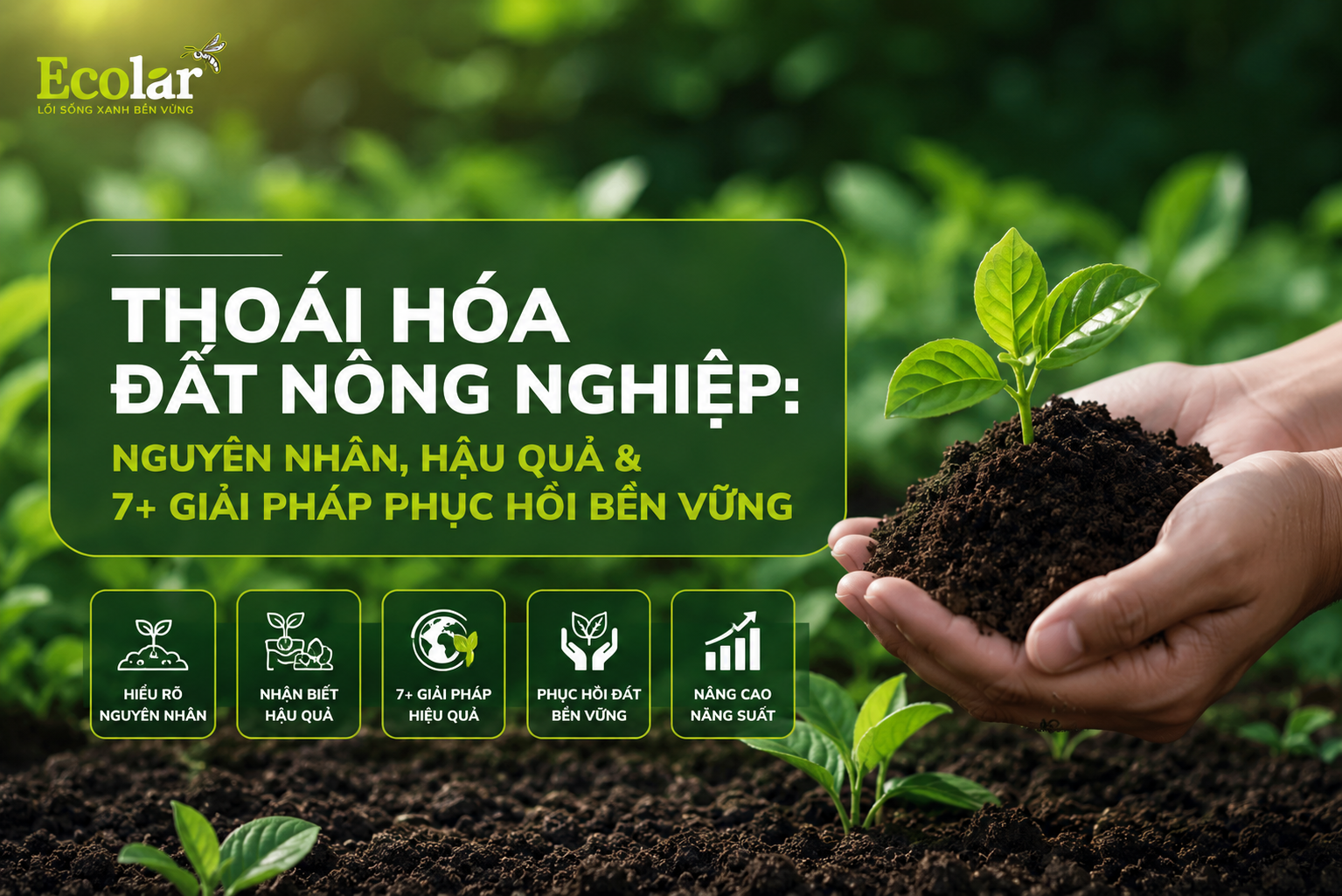 Thoái Hóa Đất Nông Nghiệp: Nguyên Nhân, Hậu Quả & 7+ Giải Pháp Phục Hồi Bền Vững