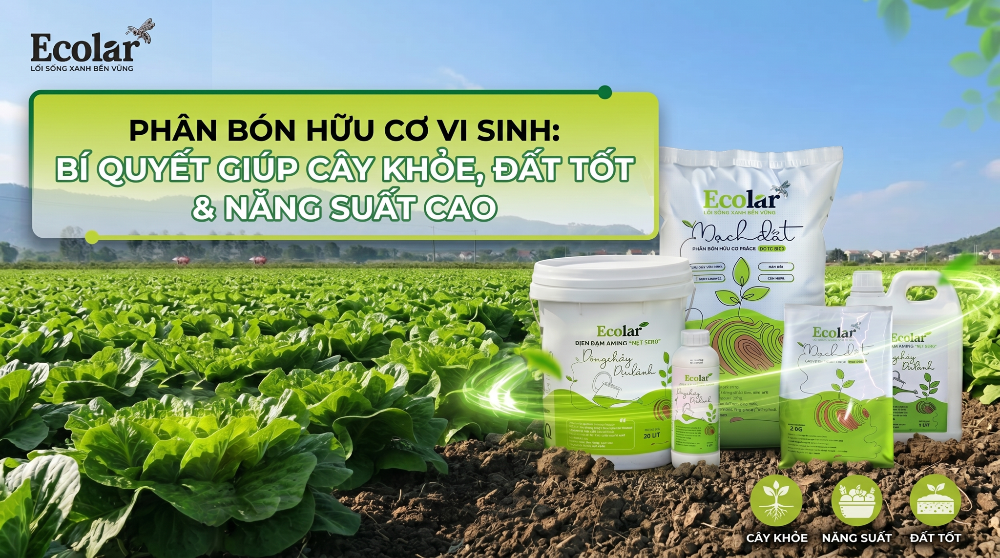 Phân bón hữu cơ vi sinh là gì? Vai trò vi sinh vật (EM, Trichoderma) và khác biệt với hữu cơ truyền thống
