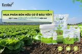 Mua Phân Bón Hữu Cơ Ở Đâu Tốt? Gợi Ý Loại Hiệu Quả & Dễ Dùng Hiện Nay