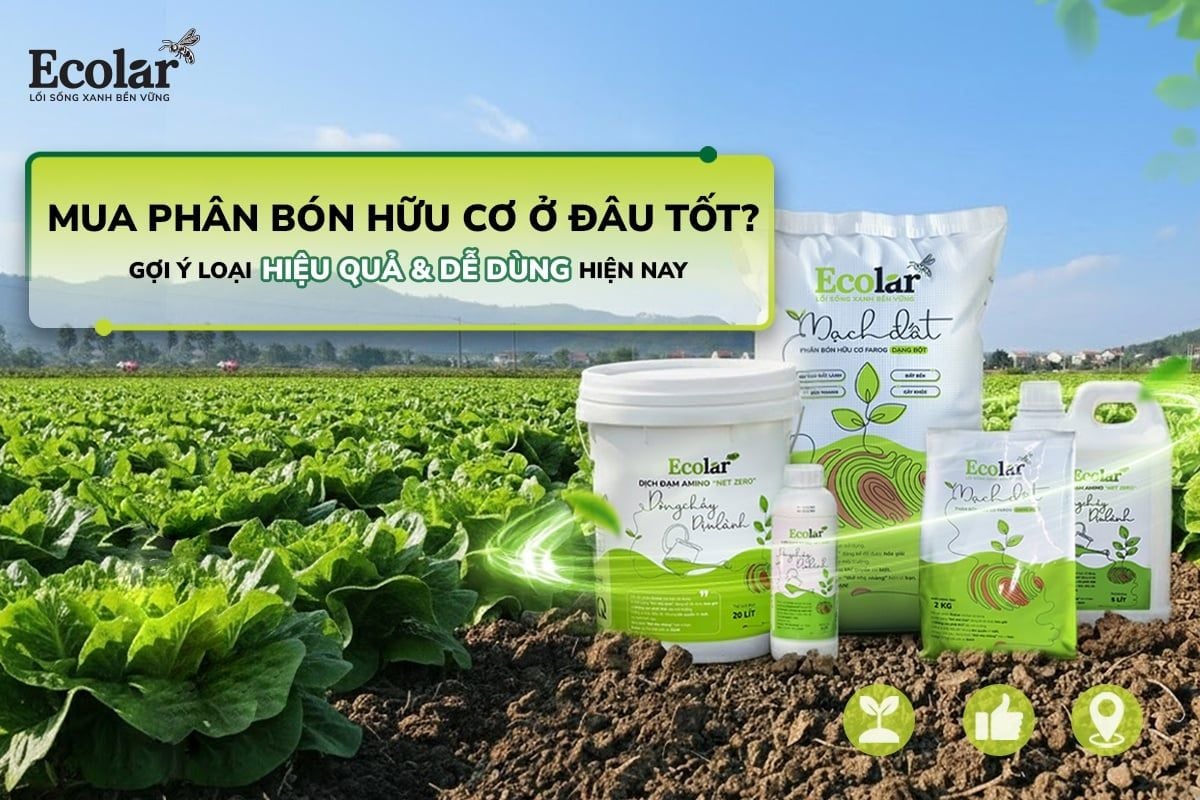 Mua Phân Bón Hữu Cơ Ở Đâu Tốt? Gợi Ý Loại Hiệu Quả & Dễ Dùng Hiện Nay