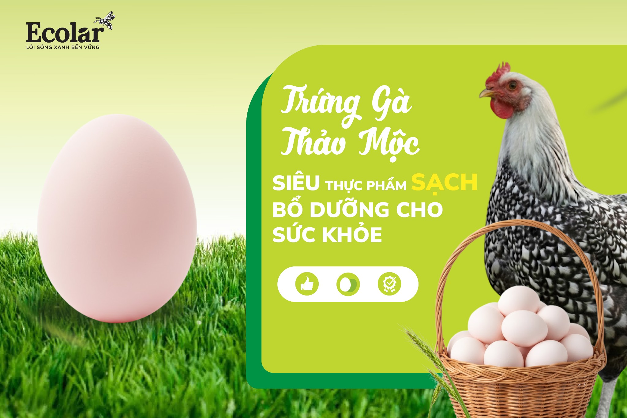 Trứng Gà Thảo Mộc – Siêu Thực Phẩm Sạch, Bổ Dưỡng Cho Sức Khỏe