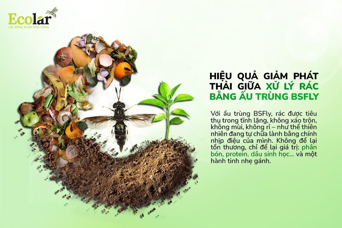 So Sánh Hiệu Quả Giảm Phát Thải Giữa Xử Lý Rác Bằng Ấu Trùng BSFly Và Ủ Phân Truyền Thống
