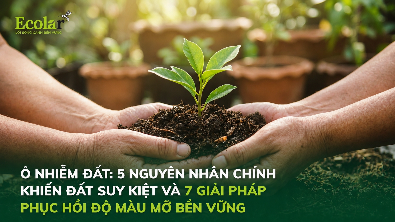 Ô Nhiễm Đất: 5 Nguyên Nhân Chính Khiến Đất Suy Kiệt và 7 Giải Pháp Phục Hồi Độ Màu Mỡ Bền Vững