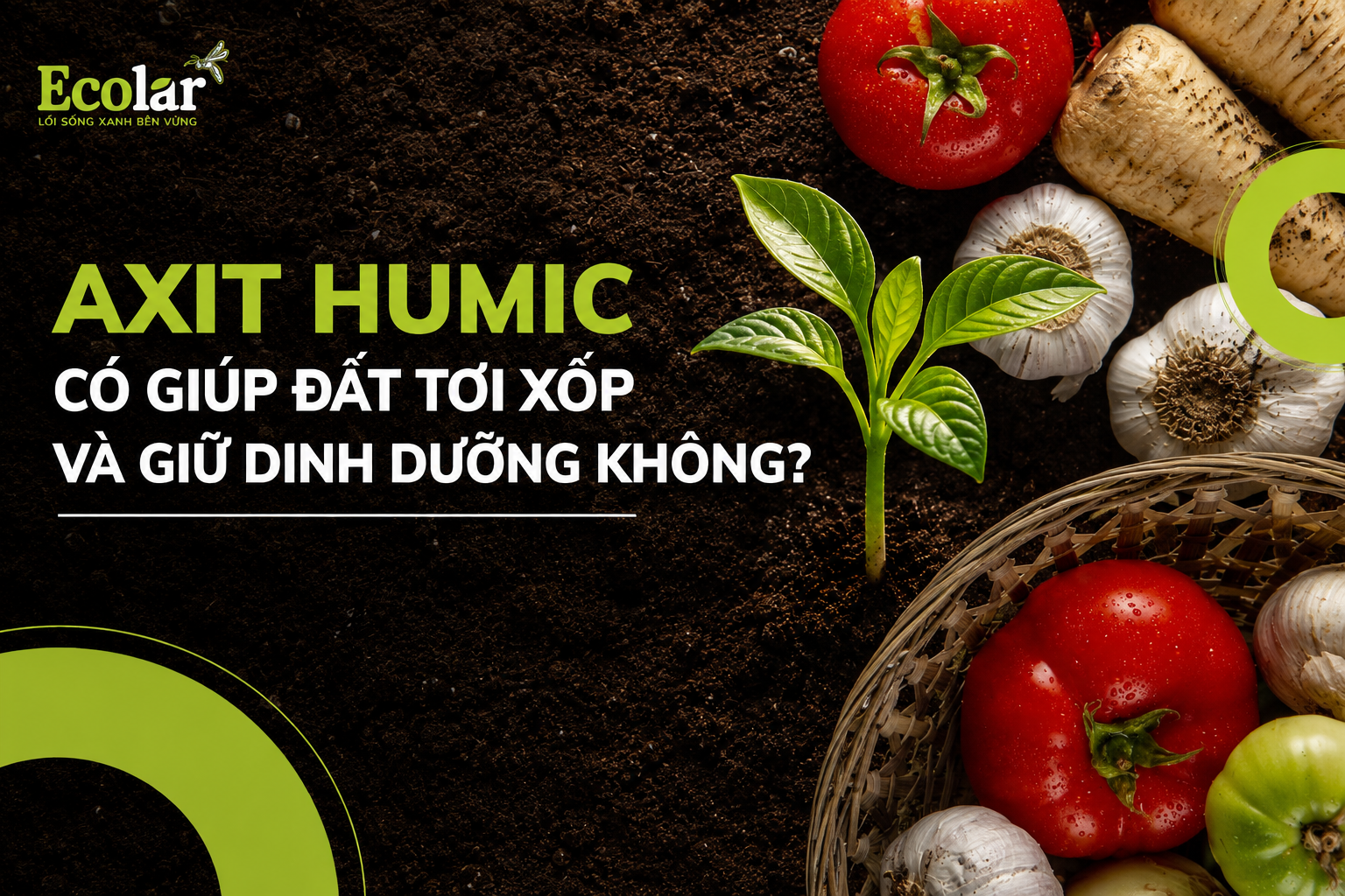 Axit Humic Có Giúp Đất Tơi Xốp Và Giữ Dinh Dưỡng Không?