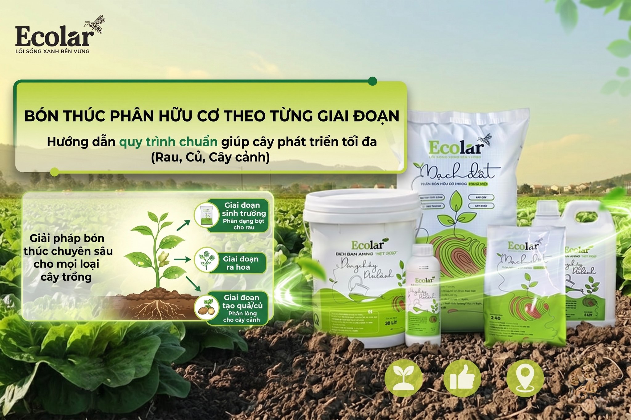 Bón Thúc Bằng Phân Bón Hữu Cơ Đúng Cách: Hướng Dẫn Theo Từng Giai Đoạn Cây Trồng