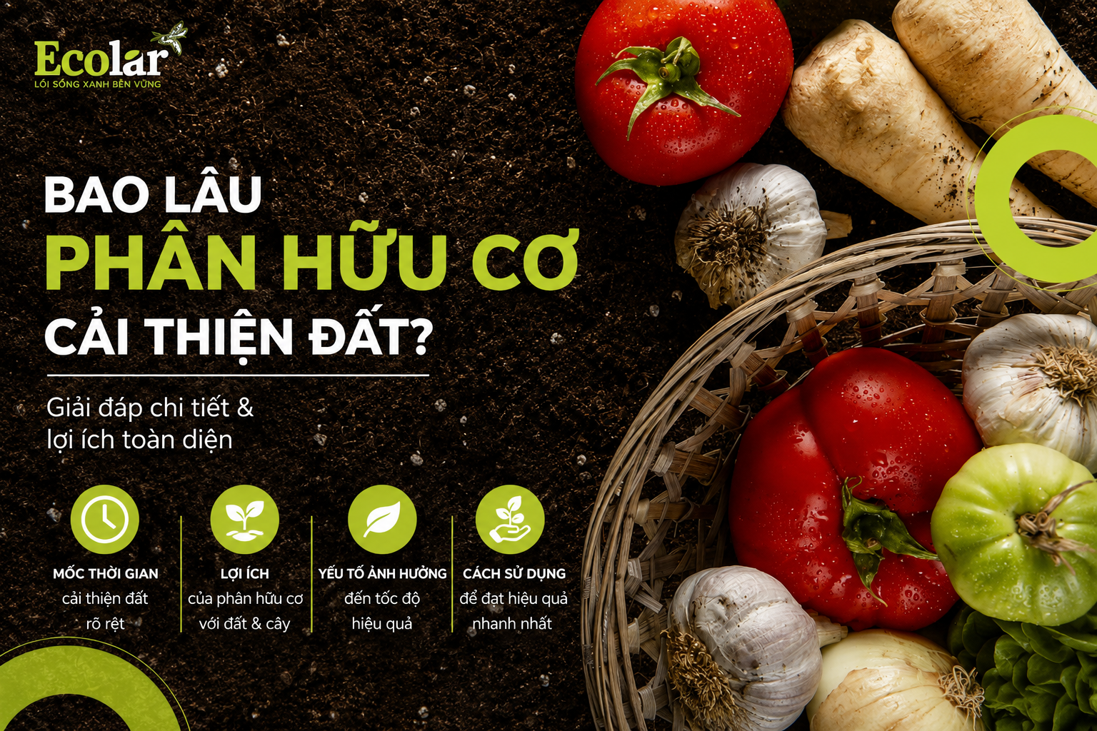 Bao Lâu Phân Hữu Cơ Cải Thiện Đất? Lộ Trình Thực Tế