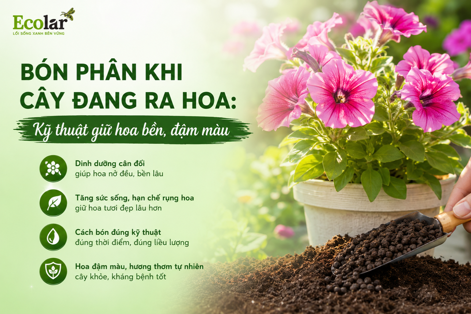 Bón Phân Khi Cây Đang Ra Hoa: Kỹ Thuật Giữ Hoa Bền, Đậm Màu