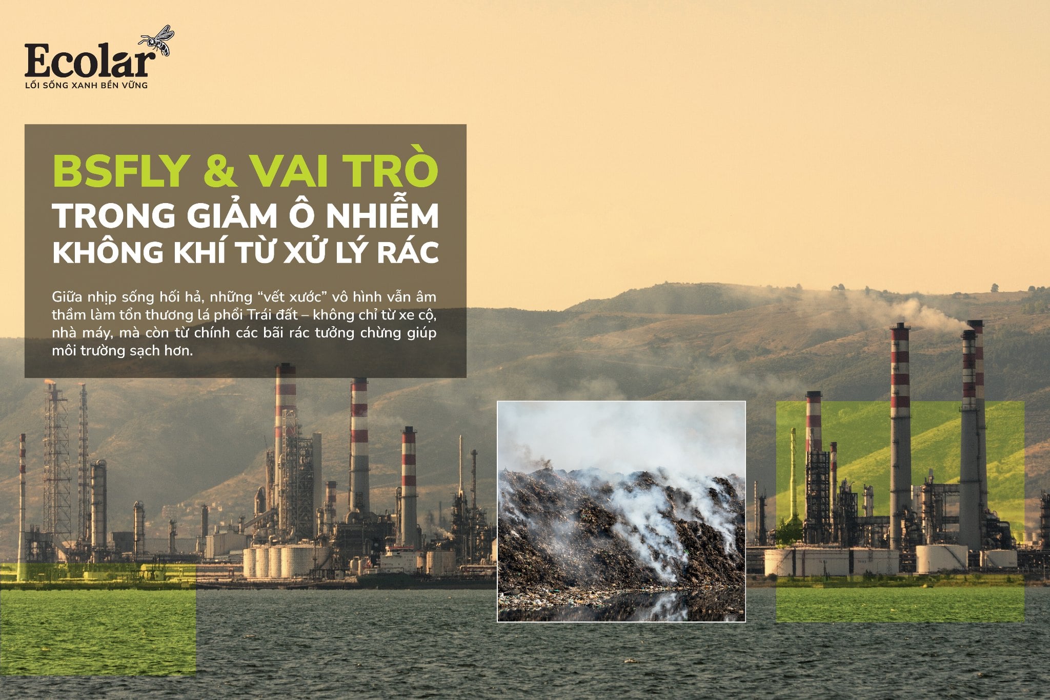 BSFly & Vai Trò Trong Giảm Ô Nhiễm Không Khí Từ Xử Lý Rác