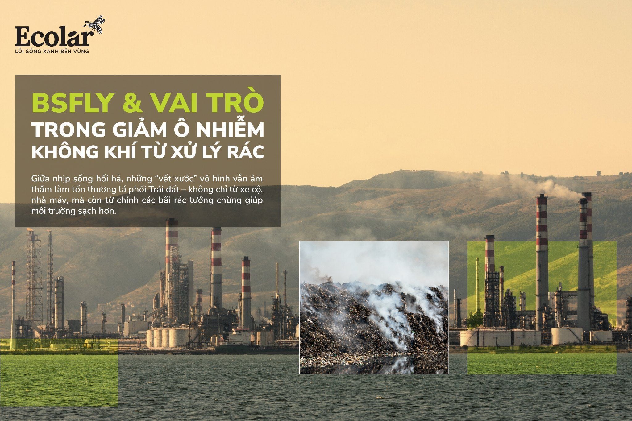 BSFly & Vai Trò Trong Giảm Ô Nhiễm Không Khí Từ Xử Lý Rác