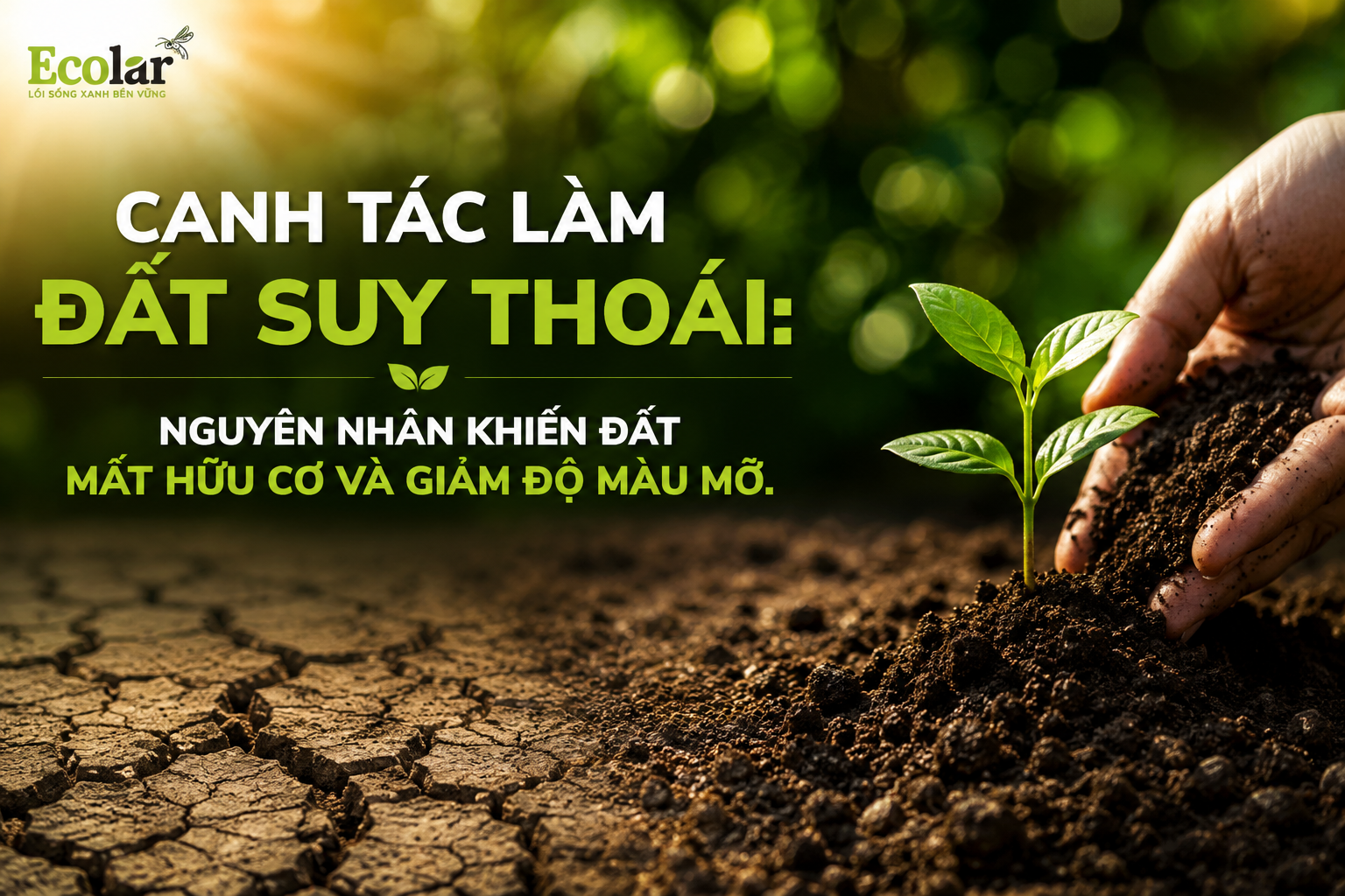 Canh Tác Làm Đất Suy Thoái: Nguyên Nhân Khiến Đất Mất Hữu Cơ Và Giảm Độ Màu Mỡ.