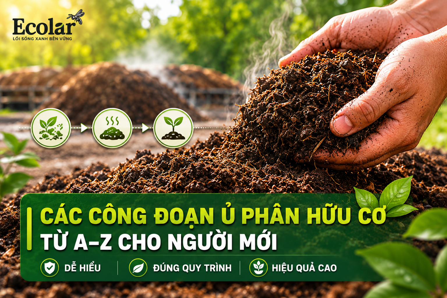 Các Công Đoạn Ủ Phân Hữu Cơ Từ A–Z Cho Người Mới