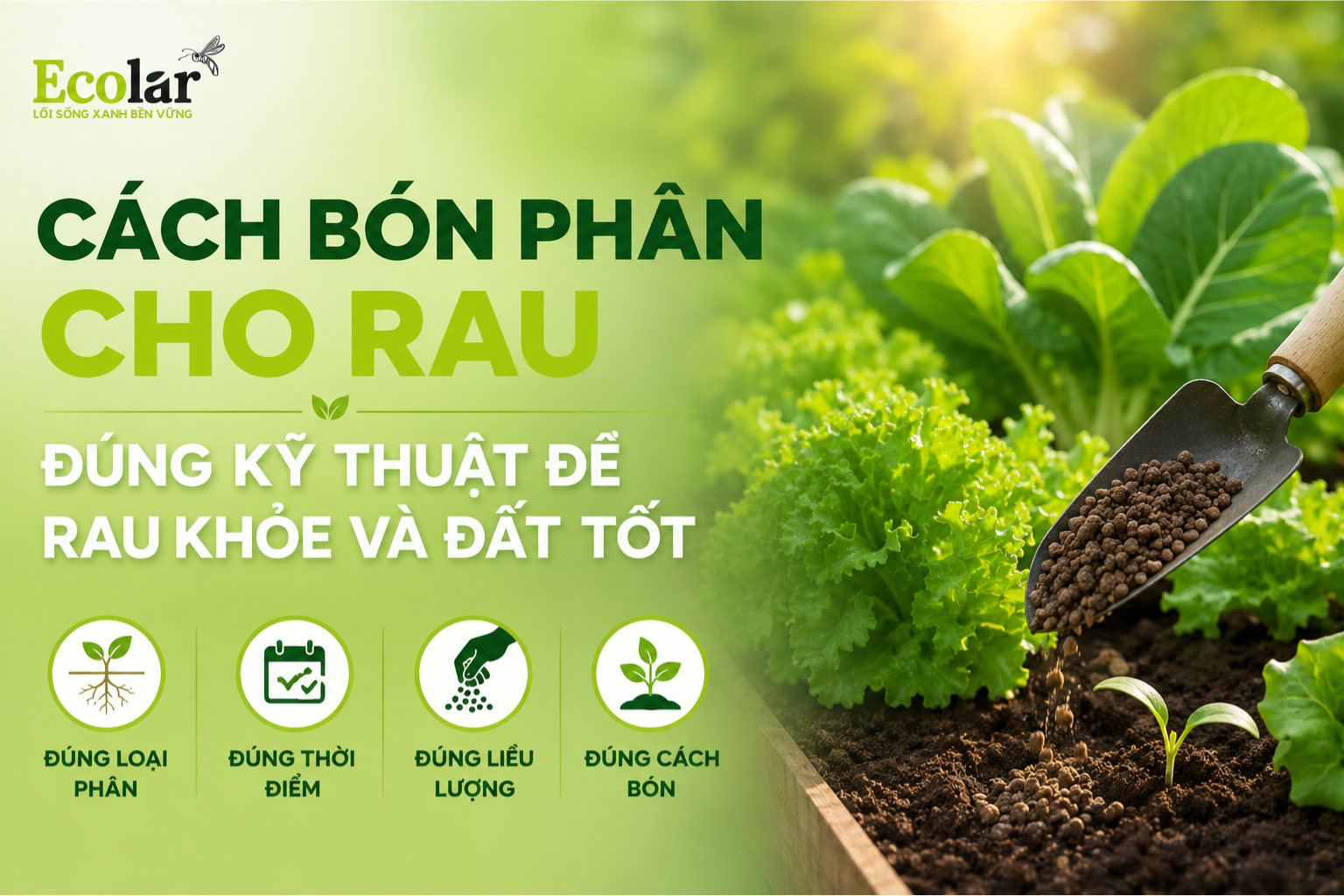 Cách Bón Phân Cho Rau Đúng Kỹ Thuật Để Rau Khỏe Và Đất Tốt