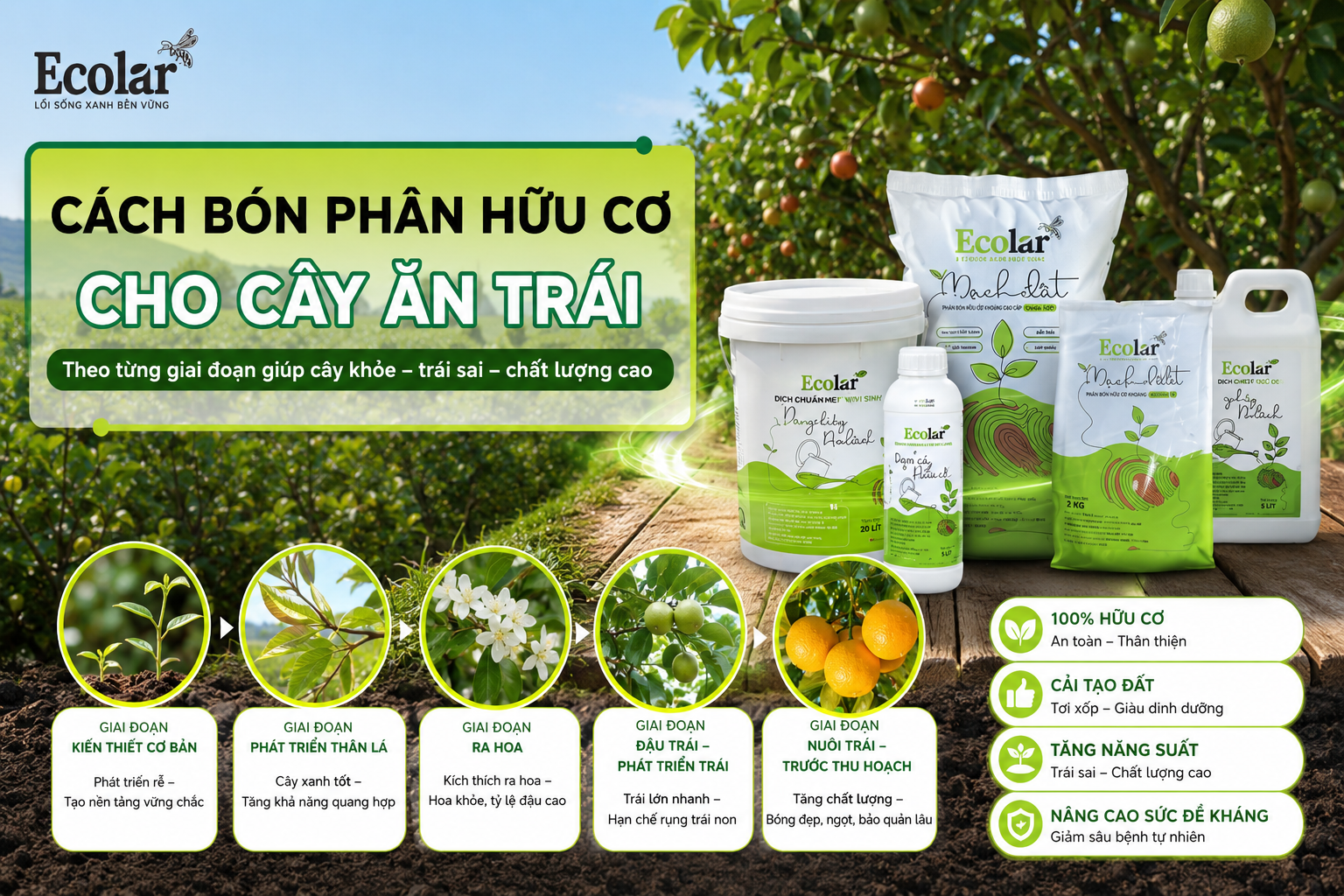 Cách Bón Phân Hữu Cơ Cho Cây Ăn Trái Theo Từng Giai Đoạn Sinh Trưởng