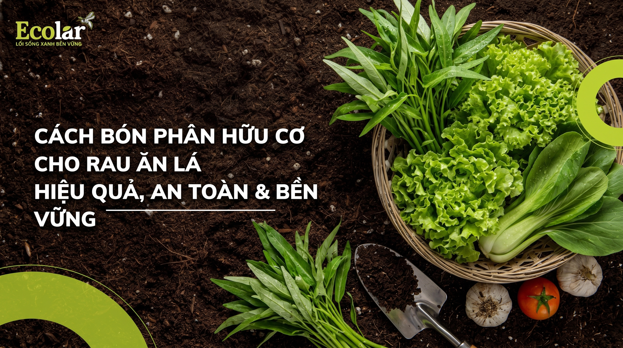 Cách Bón Phân Hữu Cơ Cho Rau Ăn Lá Đúng Cách Và Hiệu Quả