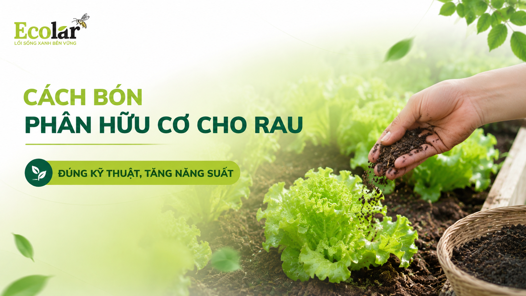 Cách Bón Phân Hữu Cơ Cho Rau Đúng Kỹ Thuật, Tăng Năng Suất