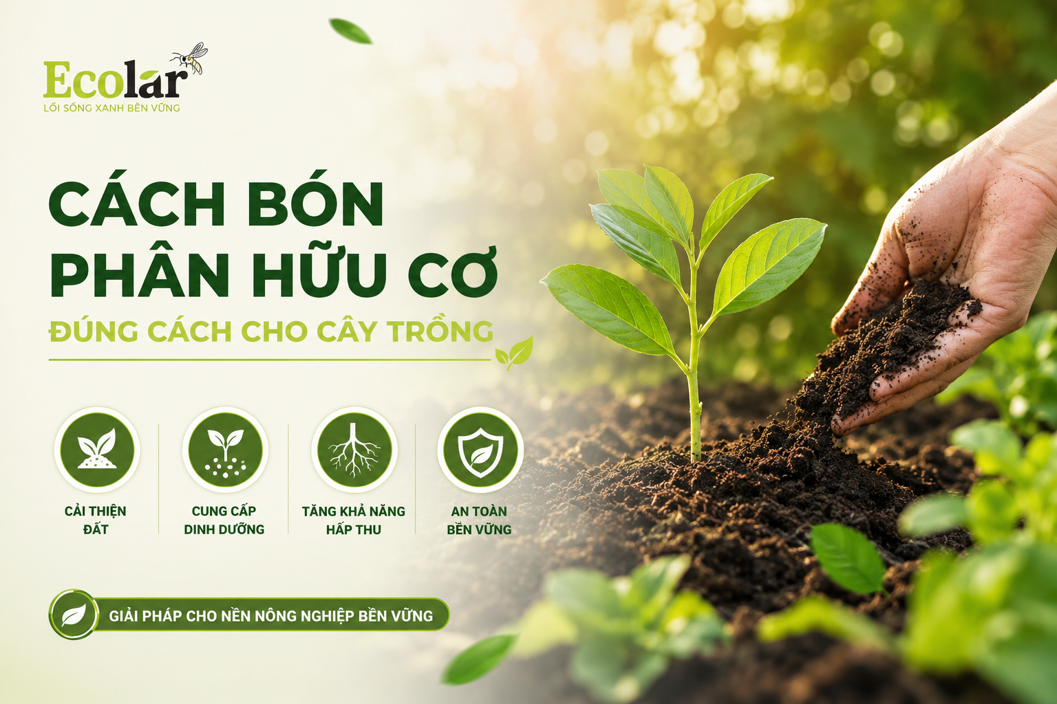 Cách Bón Phân Hữu Cơ Đúng Cách Cho Cây Trồng
