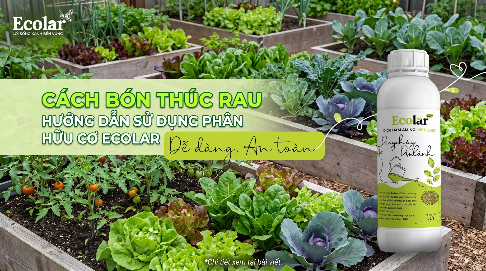 Cách Bón Thúc Rau Bằng Phân Hữu Cơ Đúng Cách Sau Khi Trồng