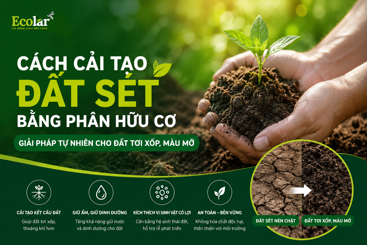 Cách Cải Tạo Đất Sét Bằng Phân Hữu Cơ Hiệu Quả