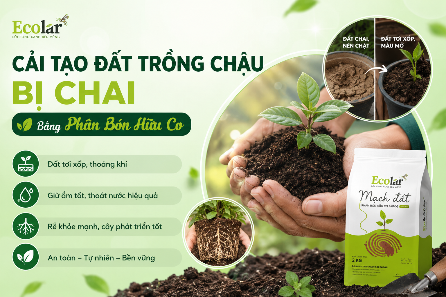 Cách Cải Tạo Đất Trồng Chậu Bị Chai Hiệu Quả Xốp, Thoát Nước Tốt