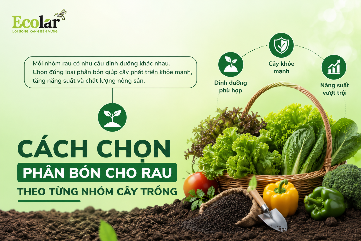 Cách Chọn Phân Bón Cho Rau Theo Từng Nhóm Cây Trồng