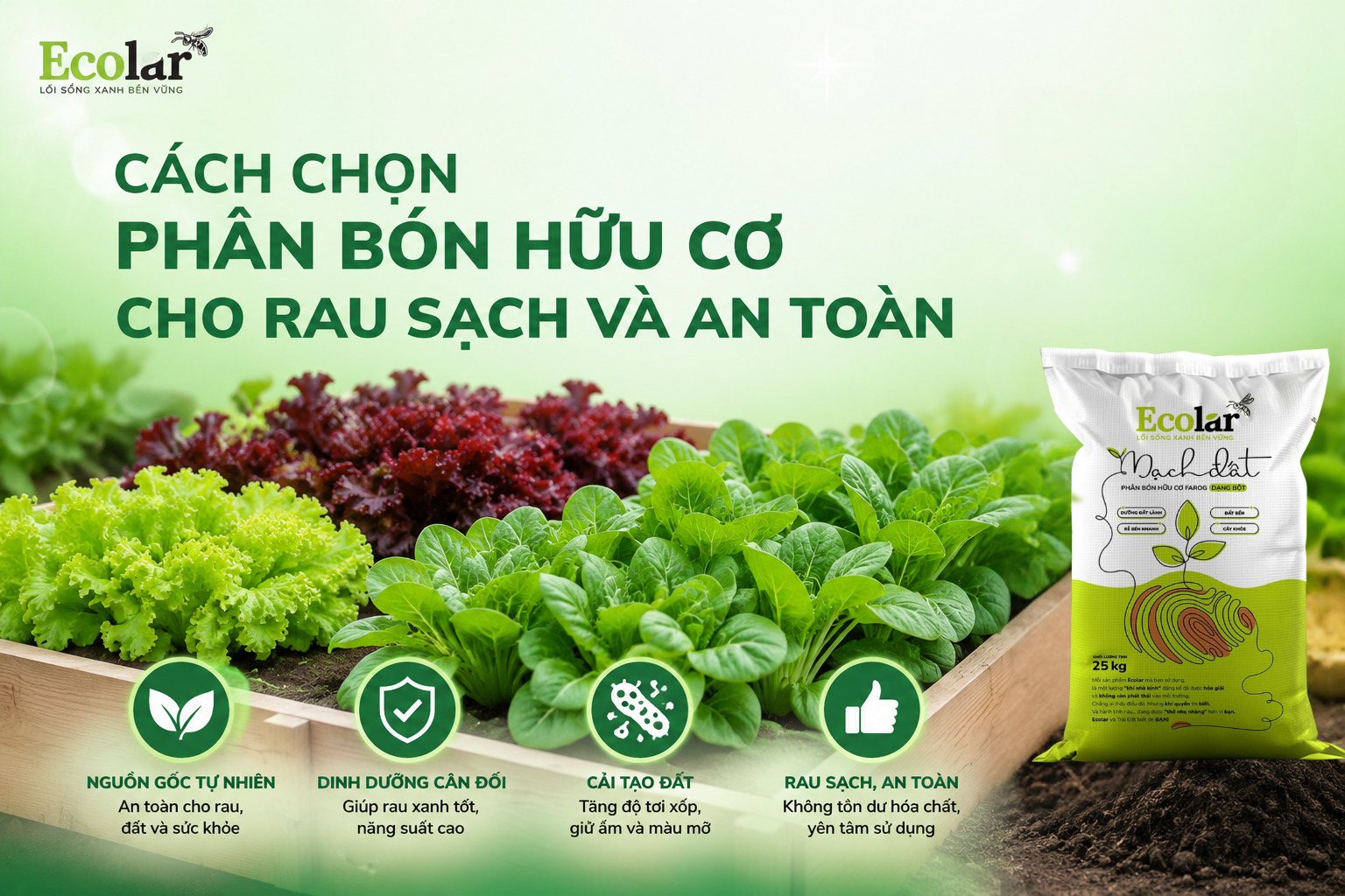 Cách Chọn Phân Bón Hữu Cơ Cho Rau Sạch Và An Toàn