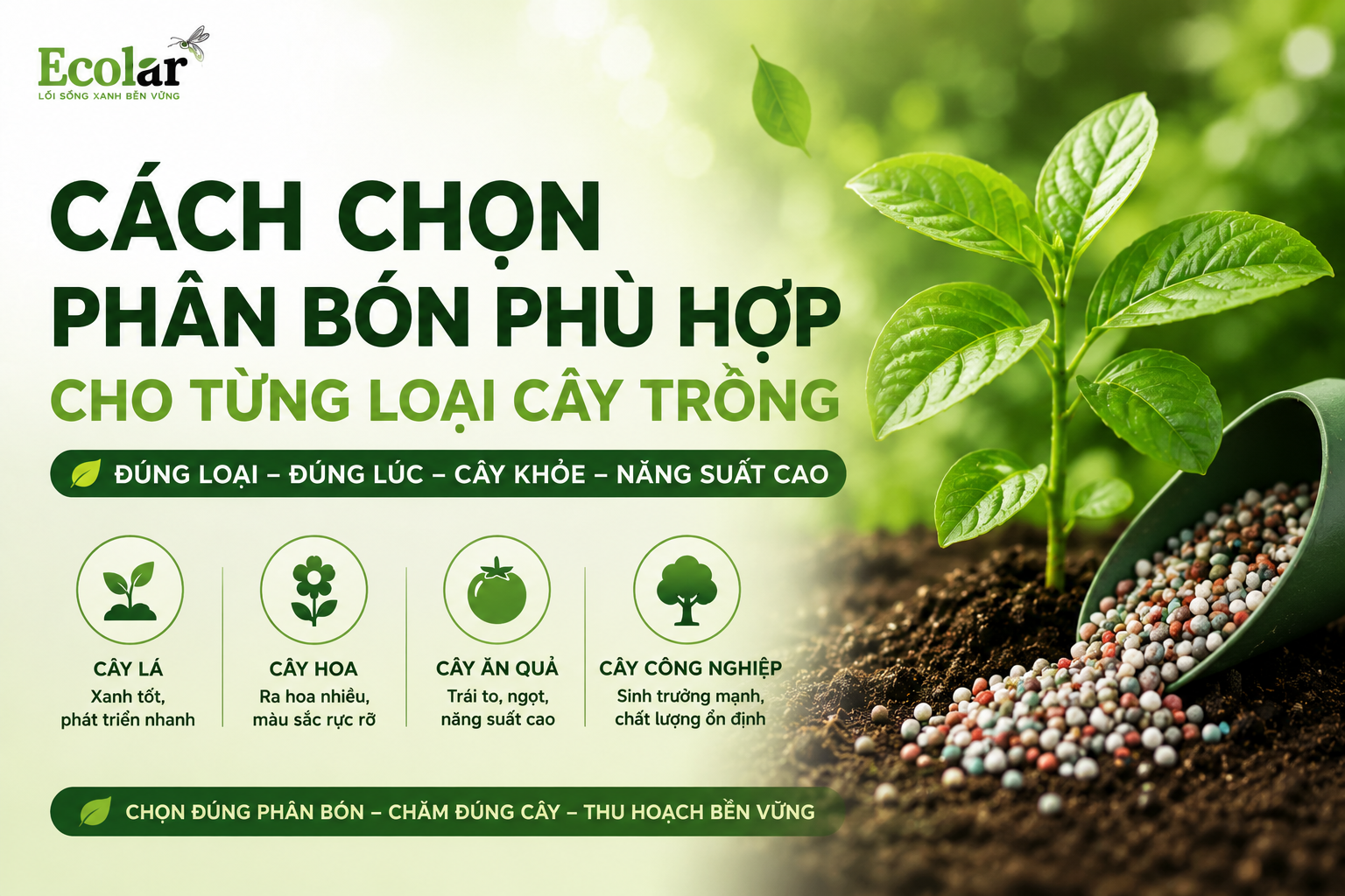 Cách Chọn Phân Bón Phù Hợp Cho Từng Loại Cây Trồng