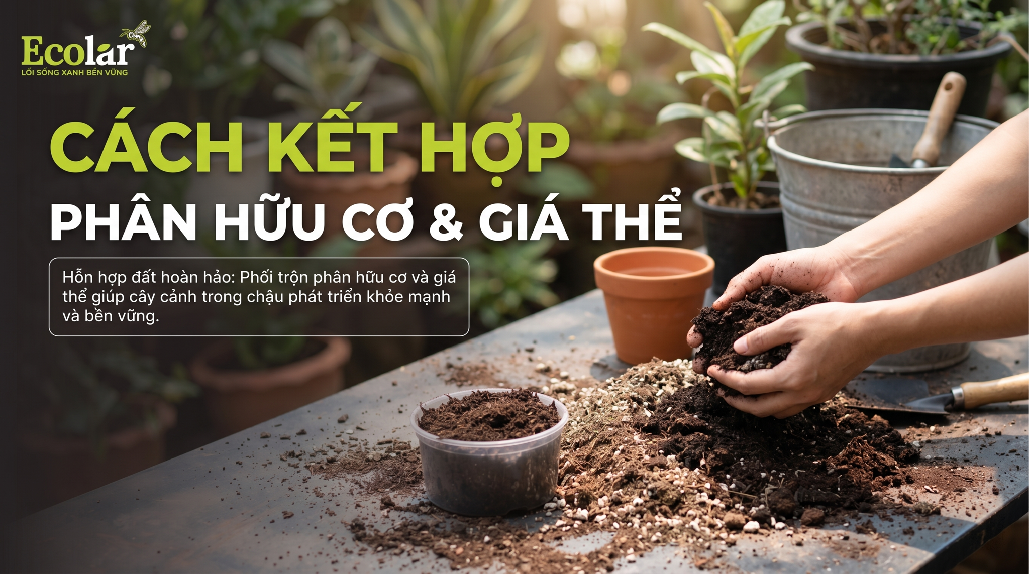 Cách Kết Hợp Phân Hữu Cơ Và Giá Thể Cho Cây Cảnh Trong Chậu