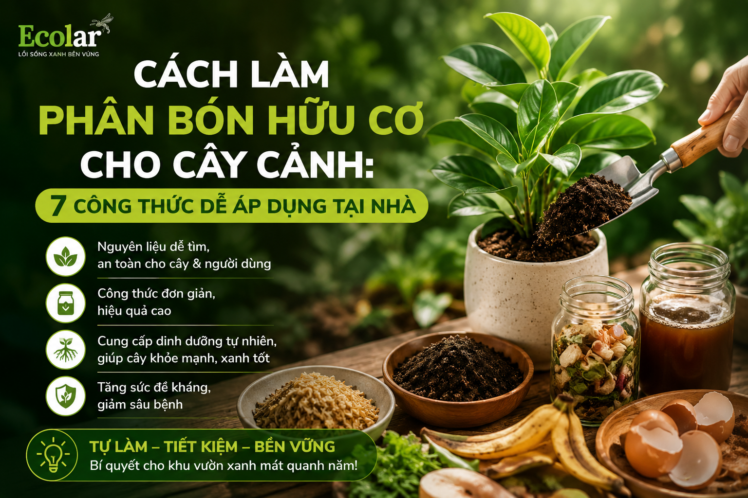 Cách Làm Phân Bón Hữu Cơ Cho Cây Cảnh: 7 Công Thức Dễ Áp Dụng Tại Nhà