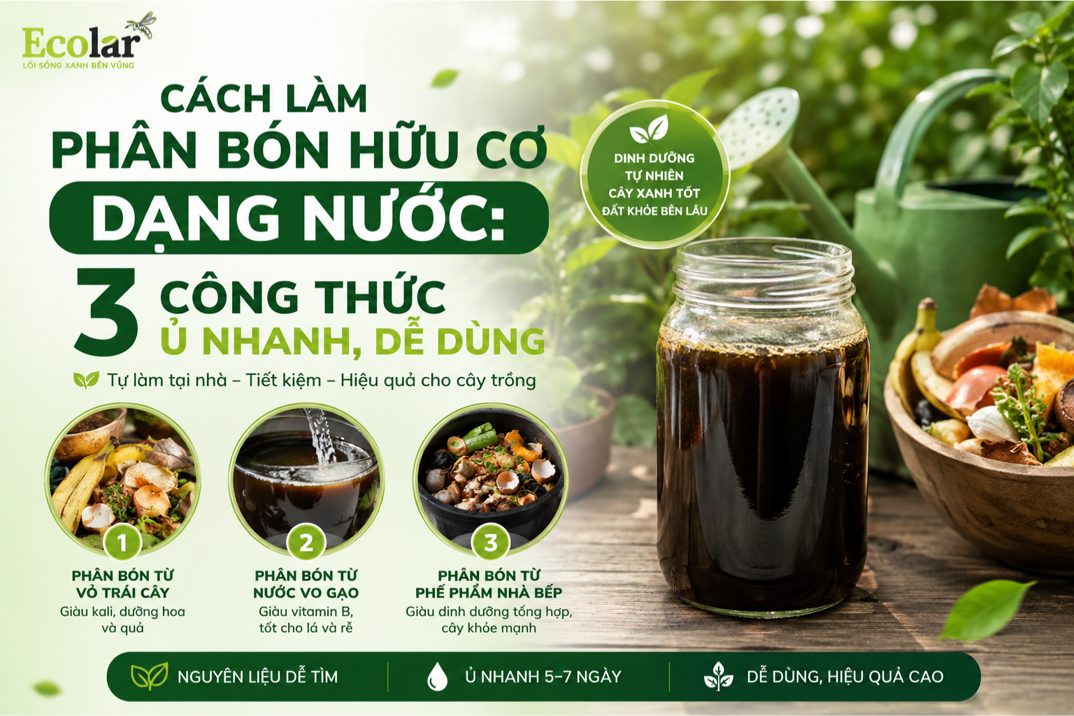 Cách Làm Phân Bón Hữu Cơ Dạng Nước: 3 Công Thức Ủ Nhanh, Dễ Dùng
