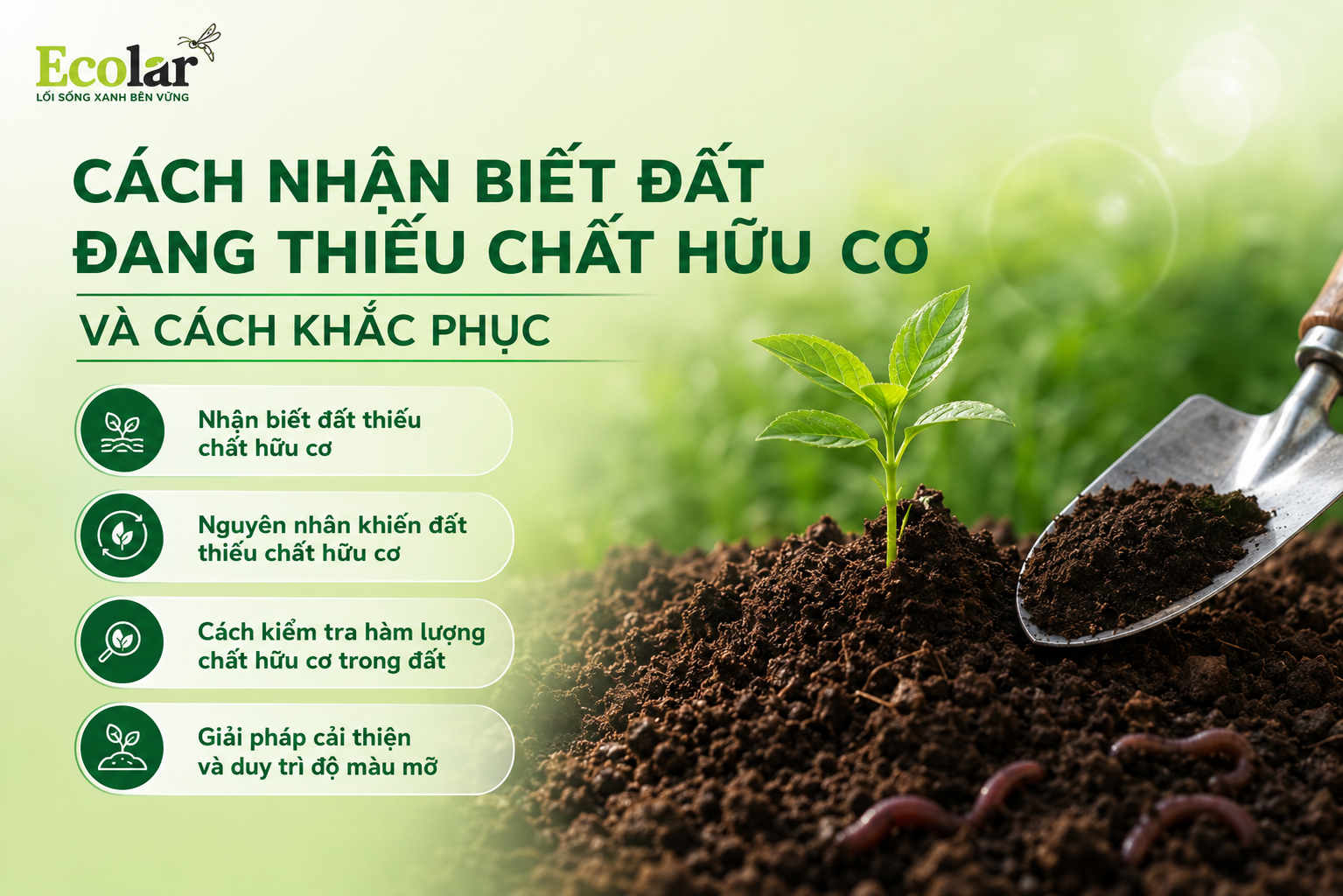 Cách Nhận Biết Đất Đang Thiếu Chất Hữu Cơ Và Cách Khắc Phục