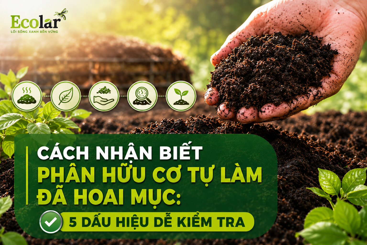 Cách Nhận Biết Phân Hữu Cơ Tự Làm Đã Hoai Mục: 5 Dấu Hiệu Dễ Kiểm Tra