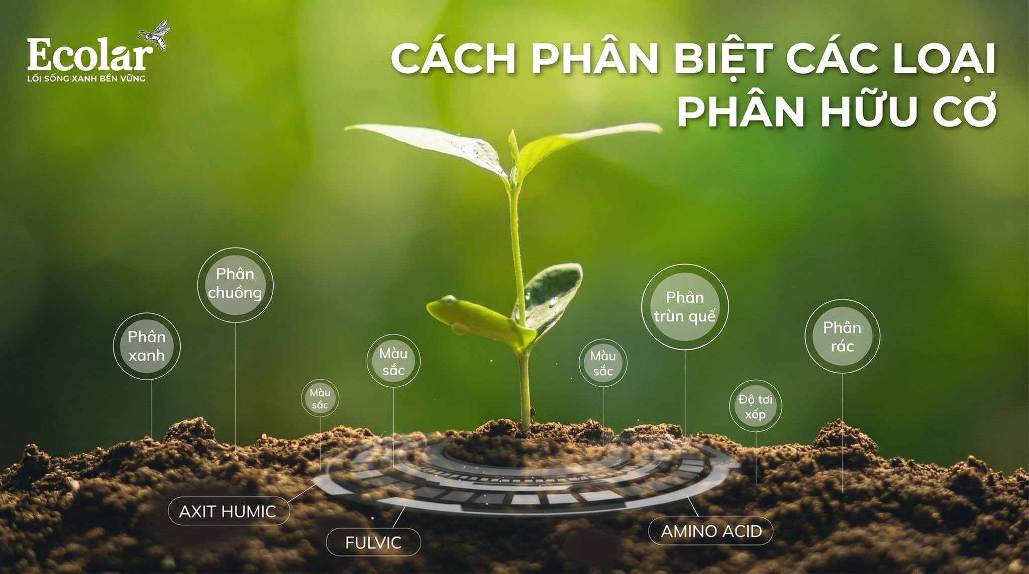 Cách Phân Biệt Các Loại Phân Hữu Cơ Cho Người Mới