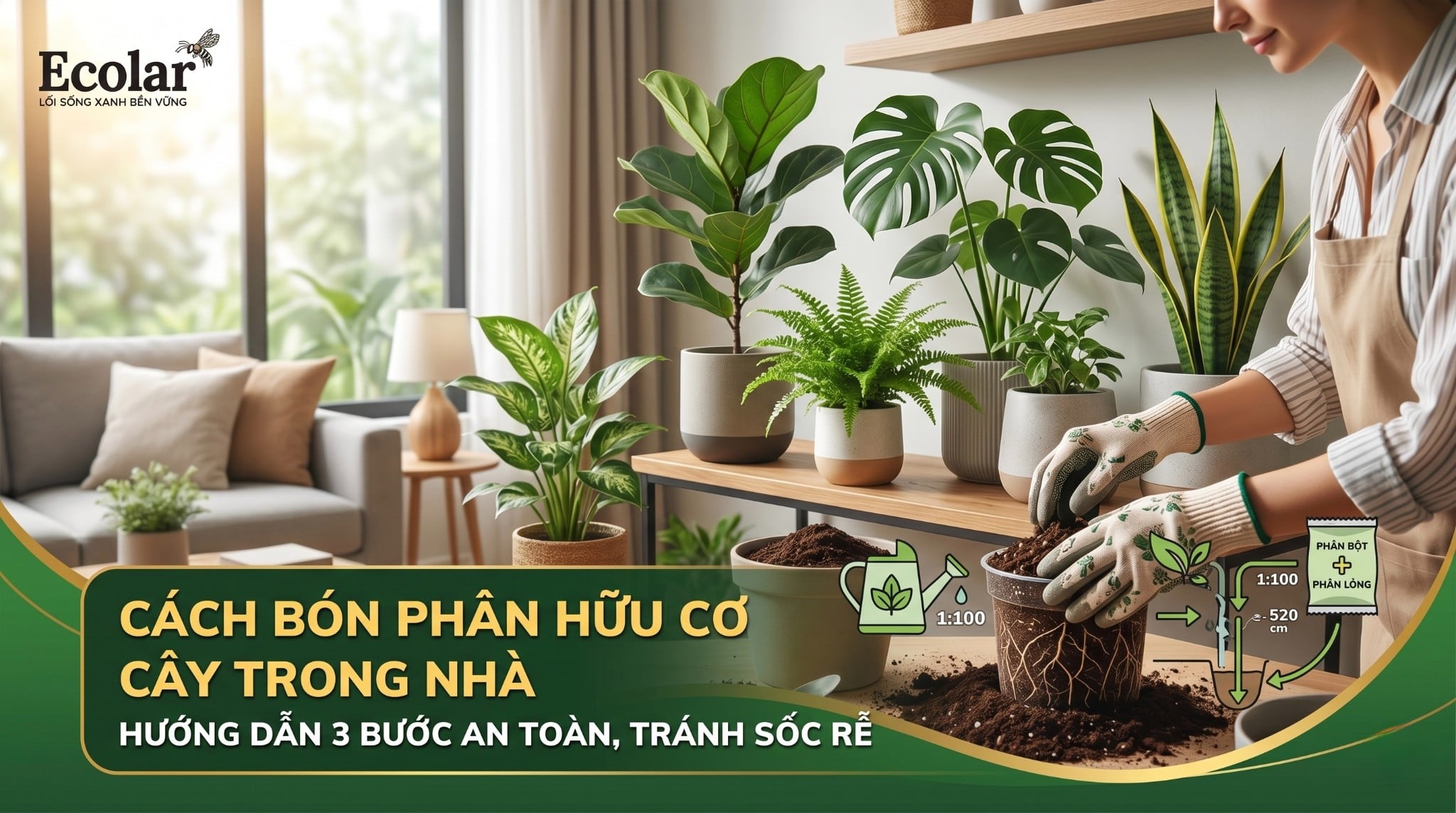 Cách Sử Dụng Phân Bón Hữu Cơ Cho Cây Cảnh Trong Nhà Không Bị Sốc Rễ