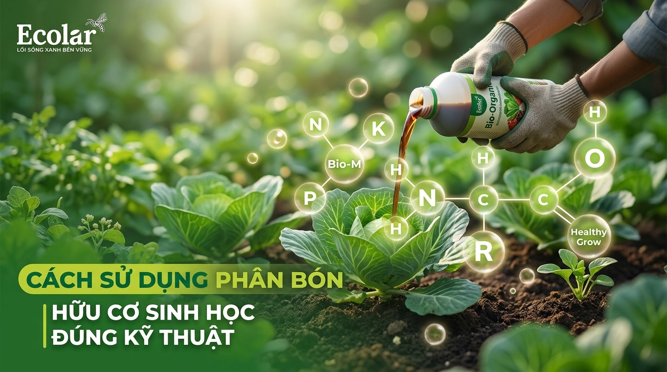 Cách sử dụng phân bón hữu cơ sinh học đúng kỹ thuật và an toàn — Hướng dẫn thực hành từng bước