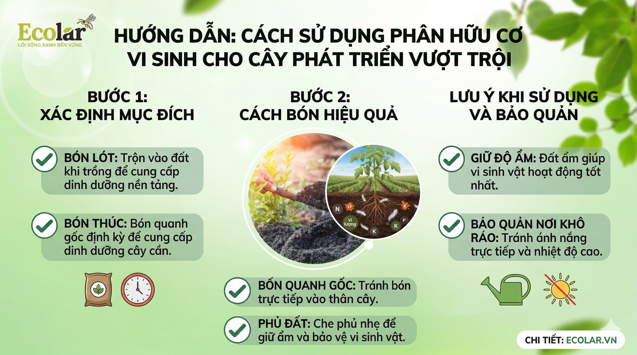Cách Sử Dụng Phân Hữu Cơ Vi Sinh Hiệu Quả Cho Cây Trồng