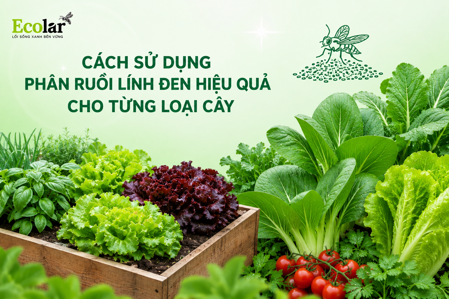 Cách Sử Dụng Phân Ruồi Lính Đen Hiệu Quả Cho Từng Loại Cây