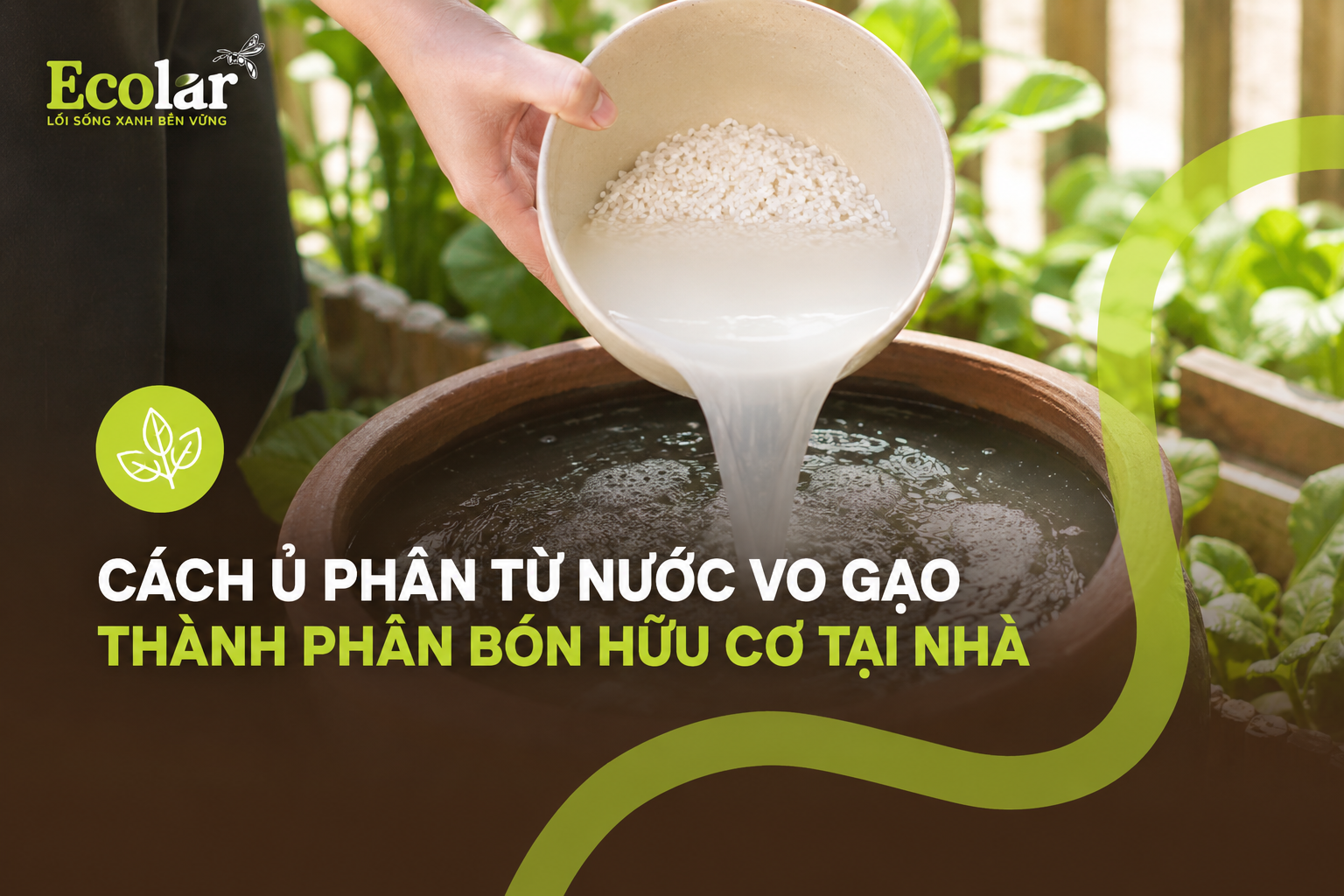 Cách ủ phân từ nước vo gạo thành phân bón hữu cơ tại nhà