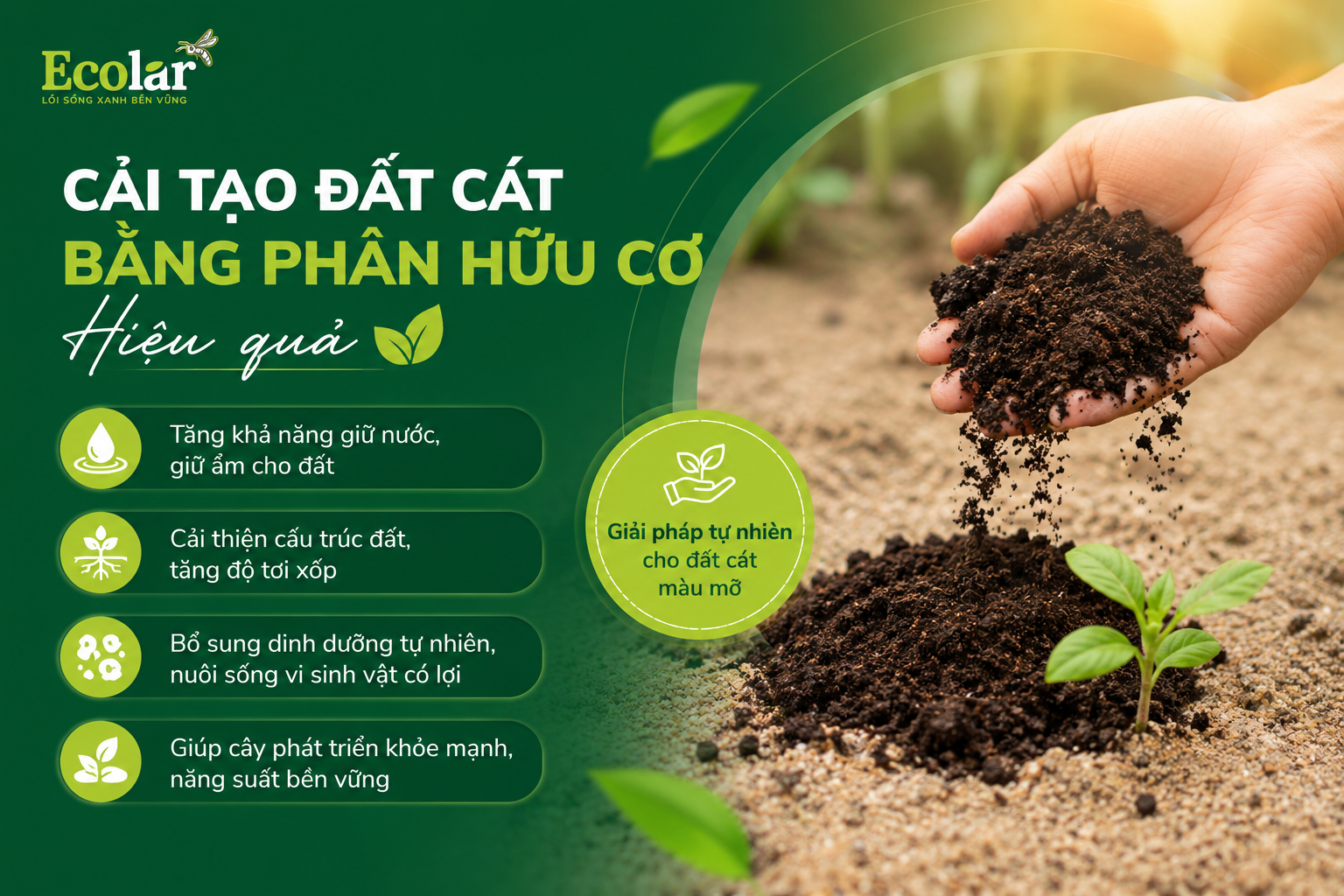 Cải Tạo Đất Cát Bằng Phân Hữu Cơ Hiệu Quả