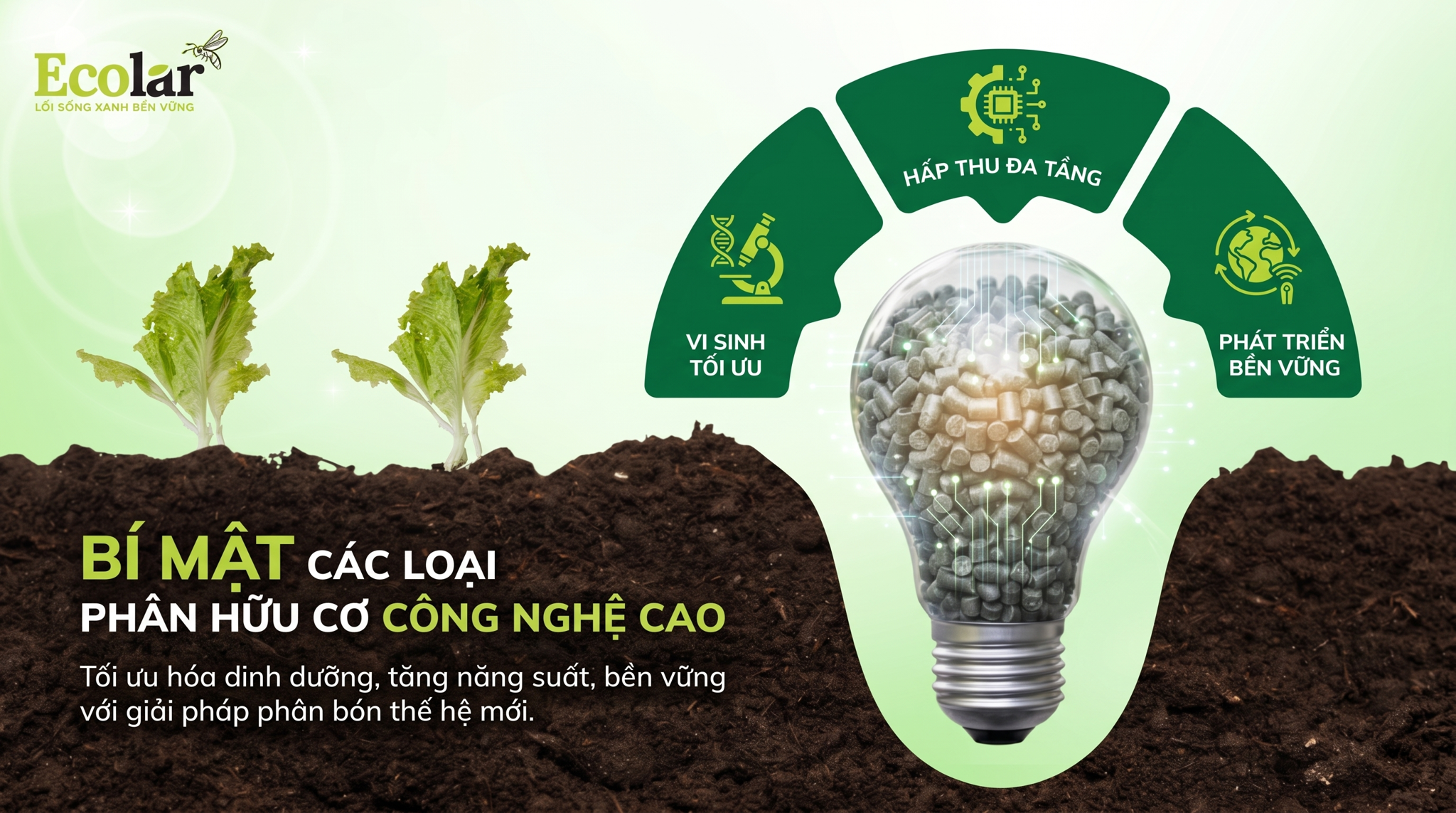 Các loại phân hữu cơ công nghệ cao: BSF, Humic và Biochar — Đặc tính, Ứng dụng và Lộ trình áp dụng thực tế