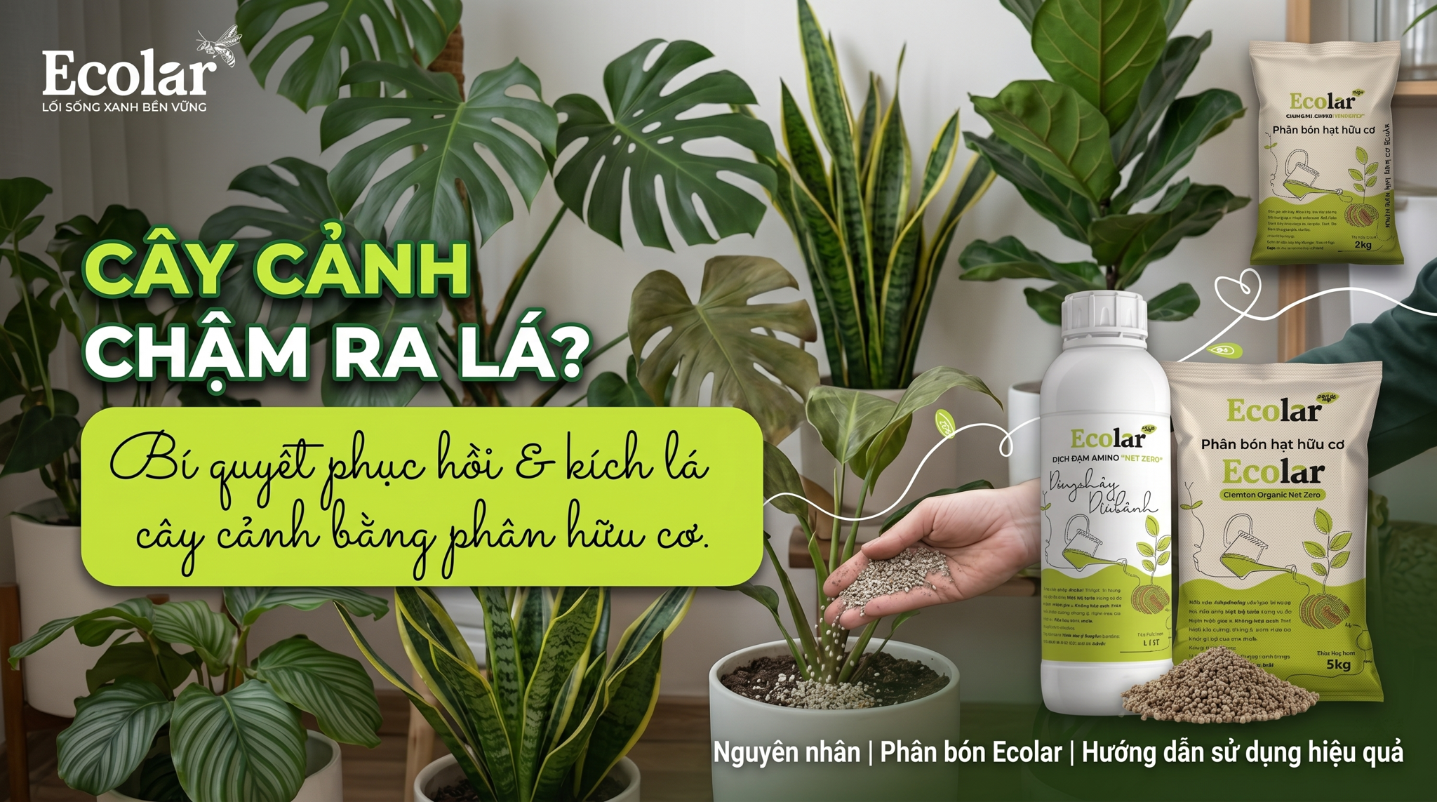 Cây Cảnh Chậm Ra Lá: Chọn Phân Hữu Cơ Gì Để Bật Chồi Tốt Hơn?