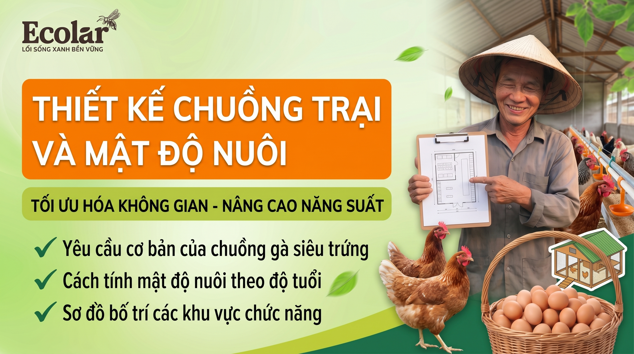 Chuồng Trại Và Mật Độ Nuôi Gà Siêu Trứng Chuẩn Kỹ Thuật