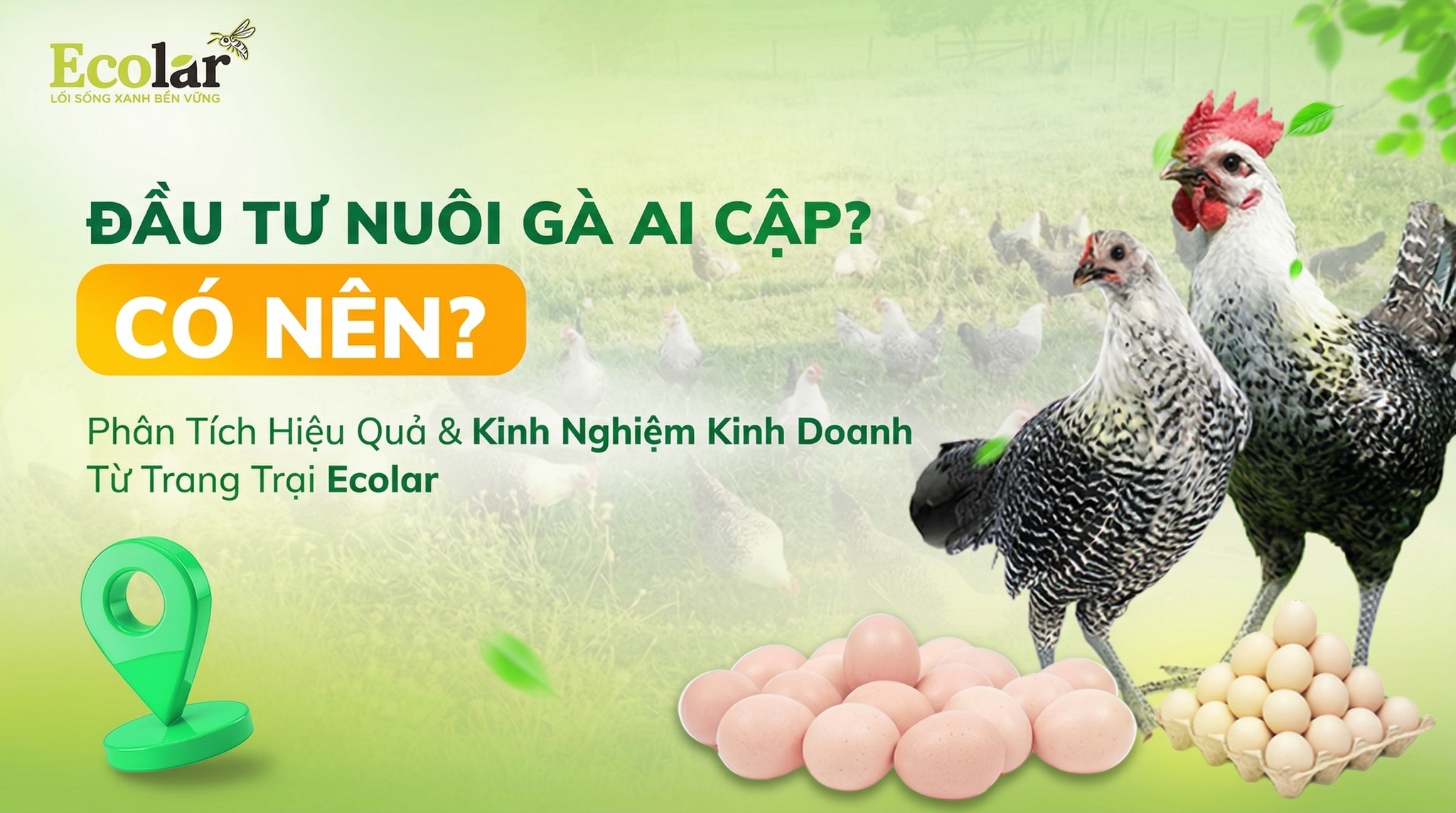 Có Nên Đầu Tư Nuôi Gà Ai Cập Năm 2026? Phân Tích Góc Nhìn Thị Trường