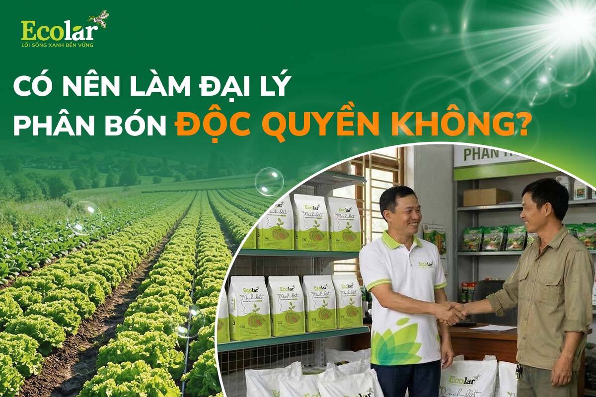 Có Nên Làm Đại Lý Phân Bón Độc Quyền Không? Lời Giải Cho Bài Toán Kinh Doanh 2026