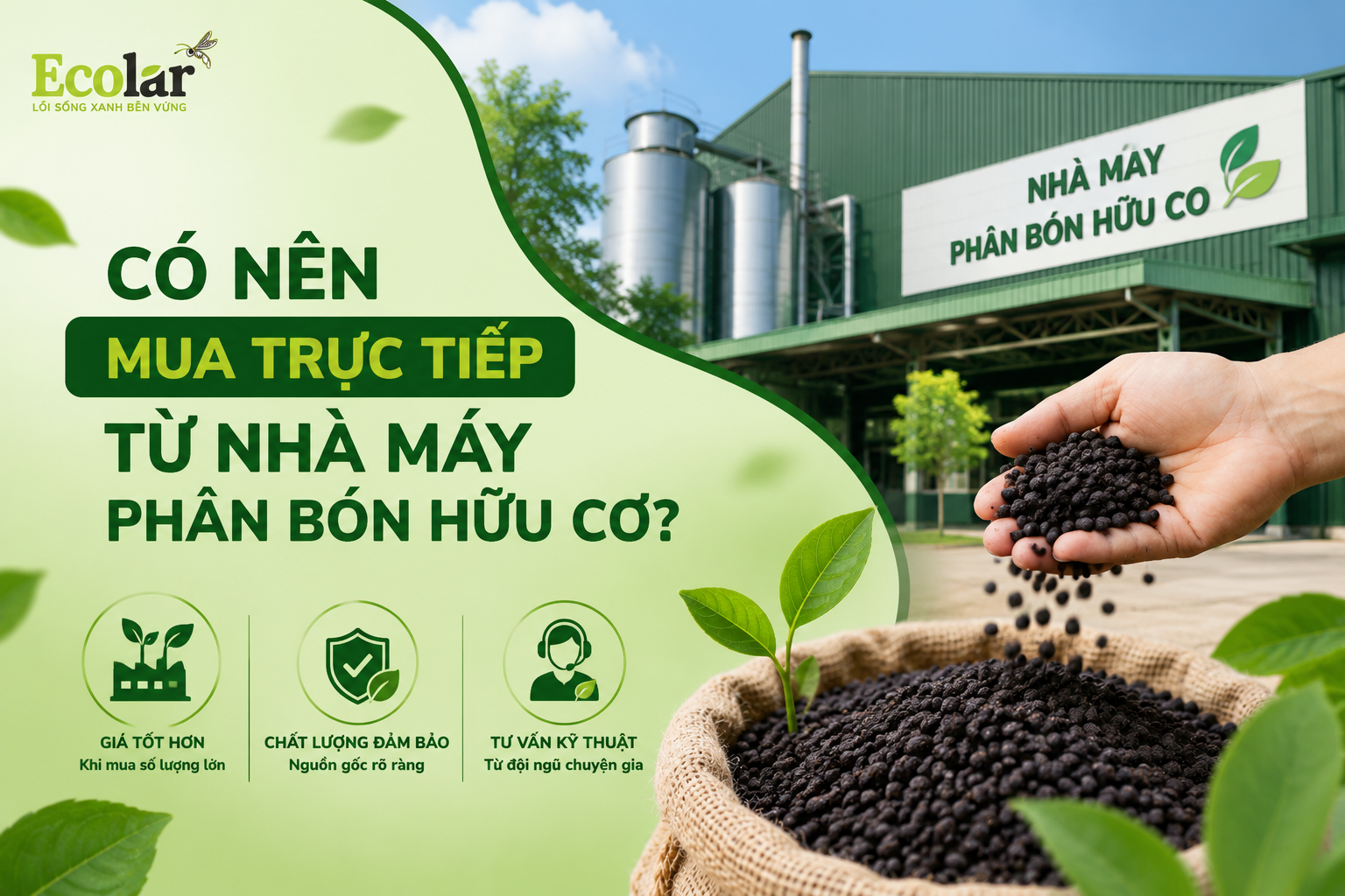 Có Nên Mua Trực Tiếp Từ Nhà Máy Phân Bón Hữu Cơ?